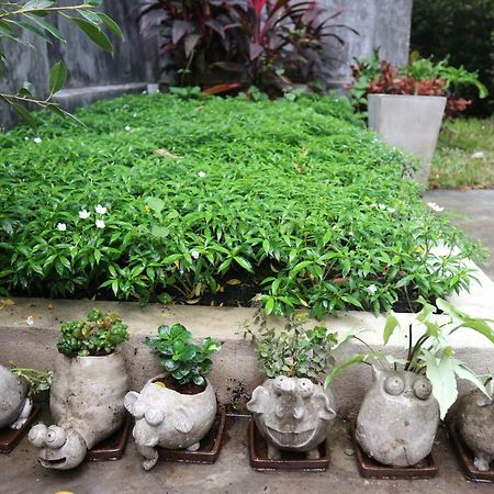 Maya Bed And Food Hostel Chiang Mai Exterior foto